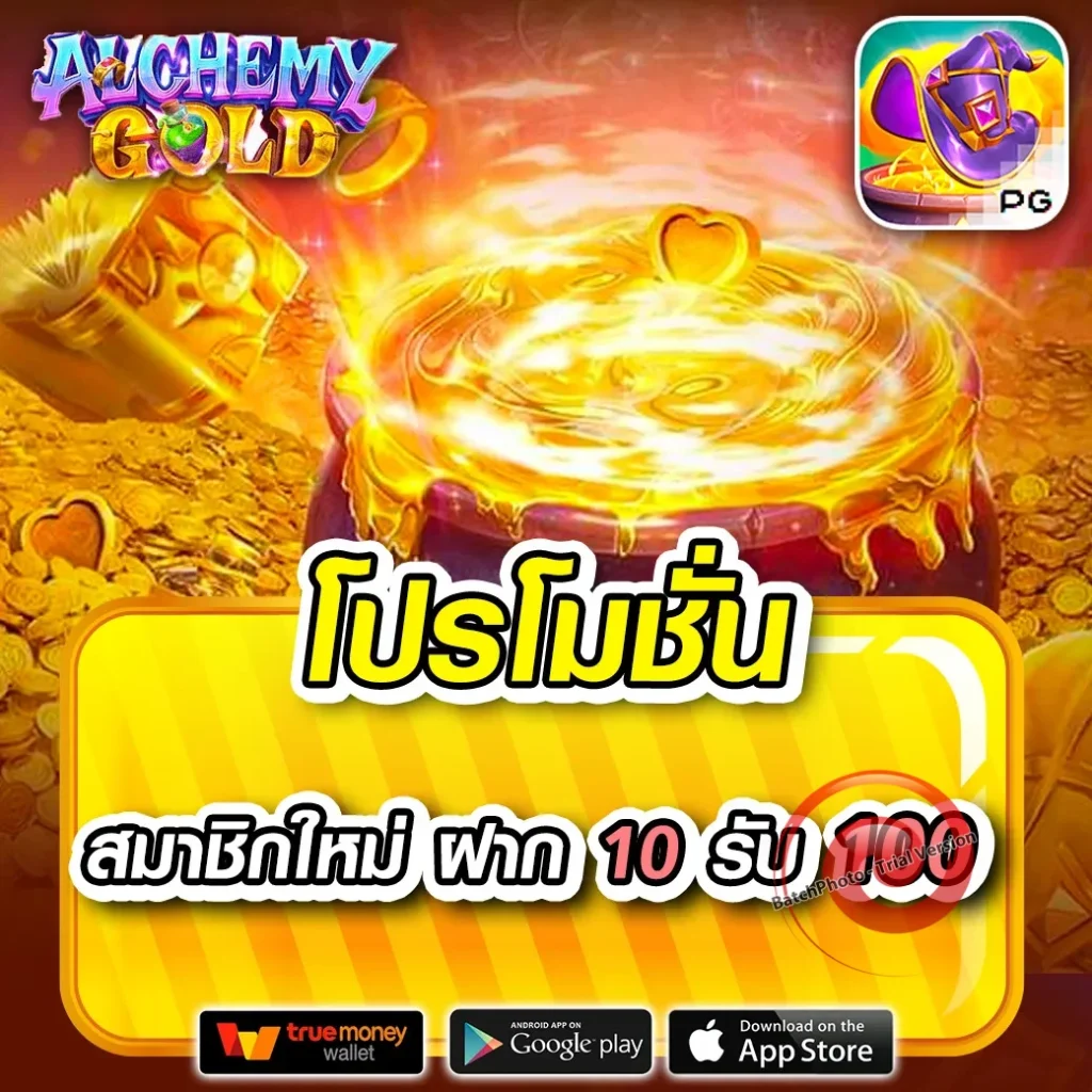 my bet แจกบ่อย